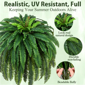 Waipfaru two-fern display shows full 60-inch coverage.
