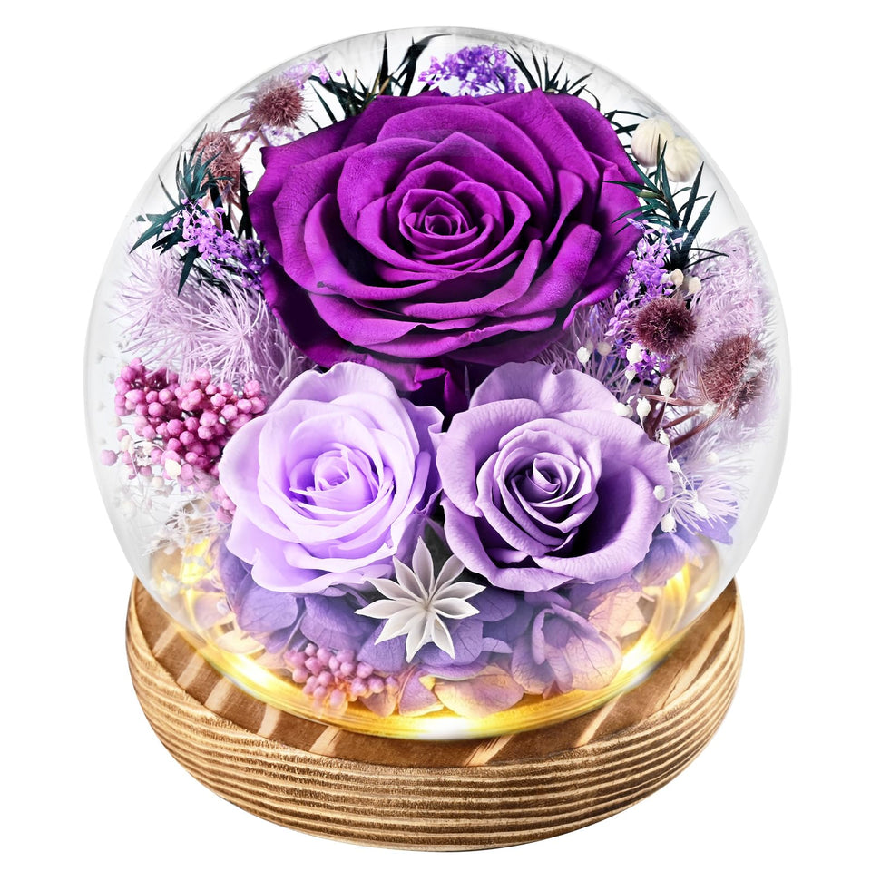 Waipfaru Forever Fresh roses under a glass dome for elegant home display.