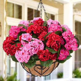 Waipfaru front door yard display stays vibrant with zero maintenance.