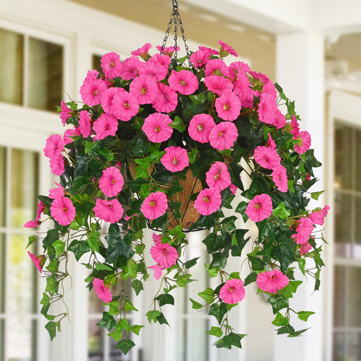 Waipfaru fuchsia hanging basket flowers for vibrant outdoor display