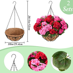 Waipfaru hanging basket 10x10x20 provides instant color with easy setup.