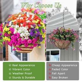 Waipfaru hanging outdoor flowers brighten porches with everlasting blooms.