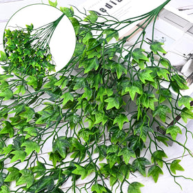 Waipfaru hanging plants, 32-inch bundle, elegantly draped along a window frame.