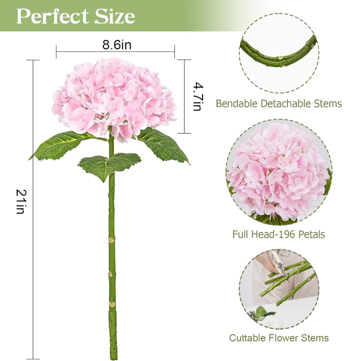 Waipfaru hydrangea head with 8.6 inch diameter and 196 petals.