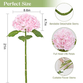 Waipfaru hydrangea head with 8.6 inch diameter and 196 petals.