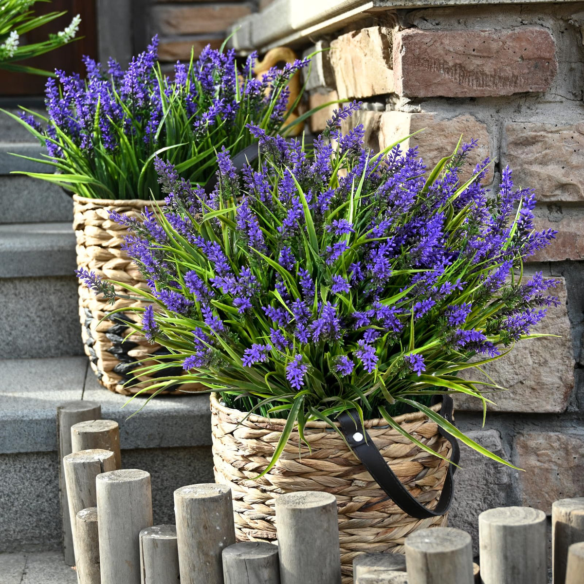 Waipfaru lavender plants on window sill for year-round charm