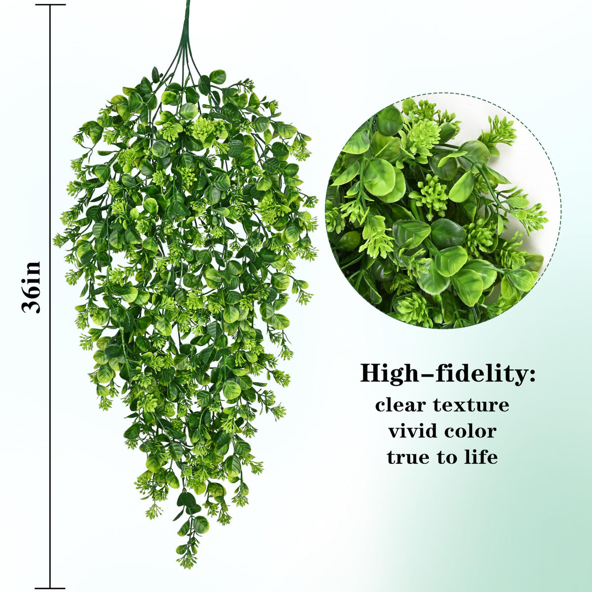 Waipfaru light-green hanging plants closeup shows realistic leaf texture.
