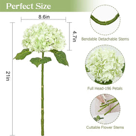 Waipfaru Long-stem Hydrangea showcases durable, bendable stems for versatile arrangements.