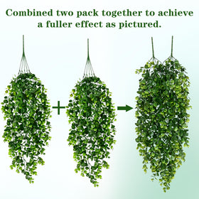 Waipfaru multi-branch bunches offer flexible decorating options.