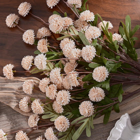 Waipfaru odorless hypoallergenic chrysanthemums for pollen-free spaces.