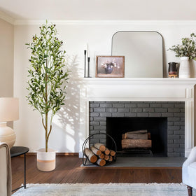 Waipfaru olive-tree maintenance is easy with dusting or a damp wipe