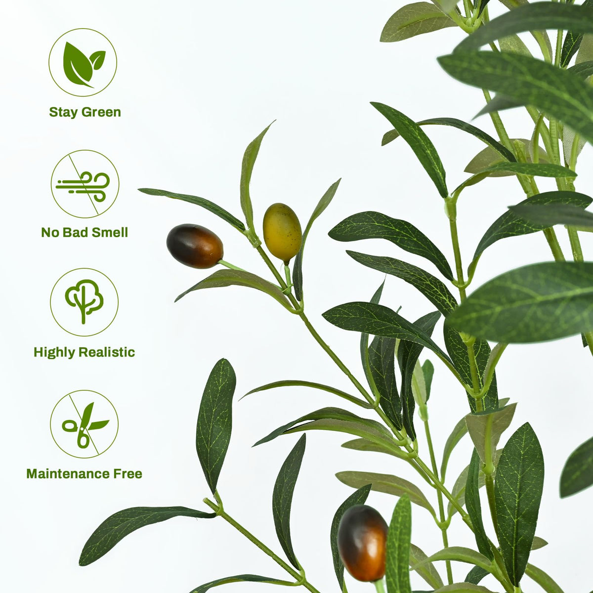 Waipfaru olive-tree fruit detail highlights realistic olive fruits