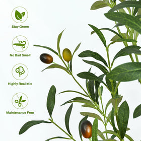 Waipfaru olive-tree fruit detail highlights realistic olive fruits