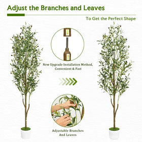 Waipfaru olive-tree in living room adds Mediterranean charm to any space
