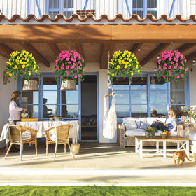 Waipfaru outdoor decor on patio display for seasonal color