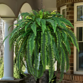 Waipfaru faux greenery ideal for porches, patios, entryways.