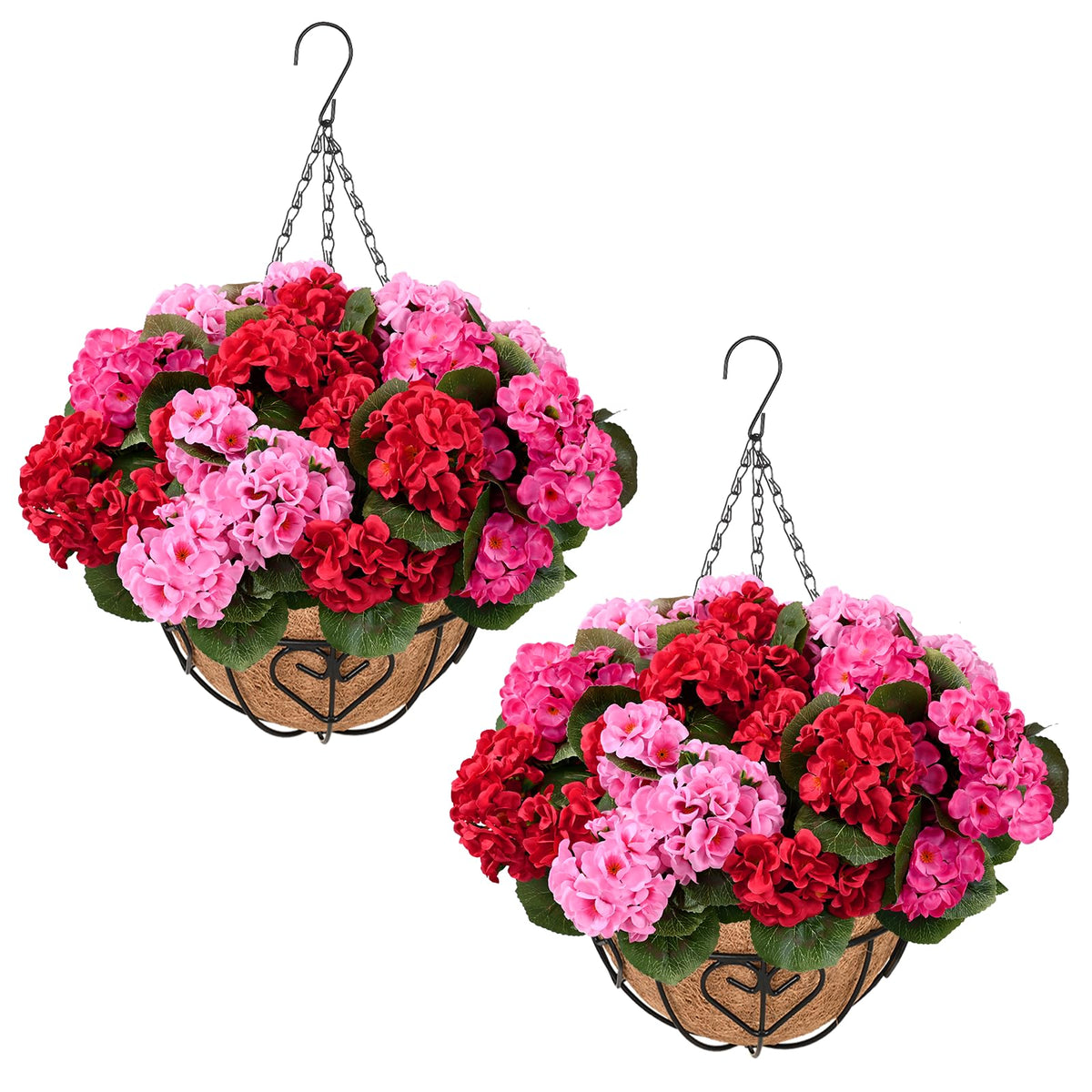 Waipfaru outdoor geraniums 12 bundles create a vivid, maintenance-free porch display.