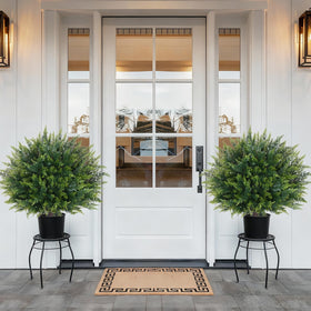 Waipfaru outdoor-indoor dual-use topiary in a decorative pot.