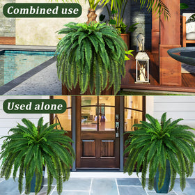 Waipfaru porch display with two ferns provides lush outdoor decor.