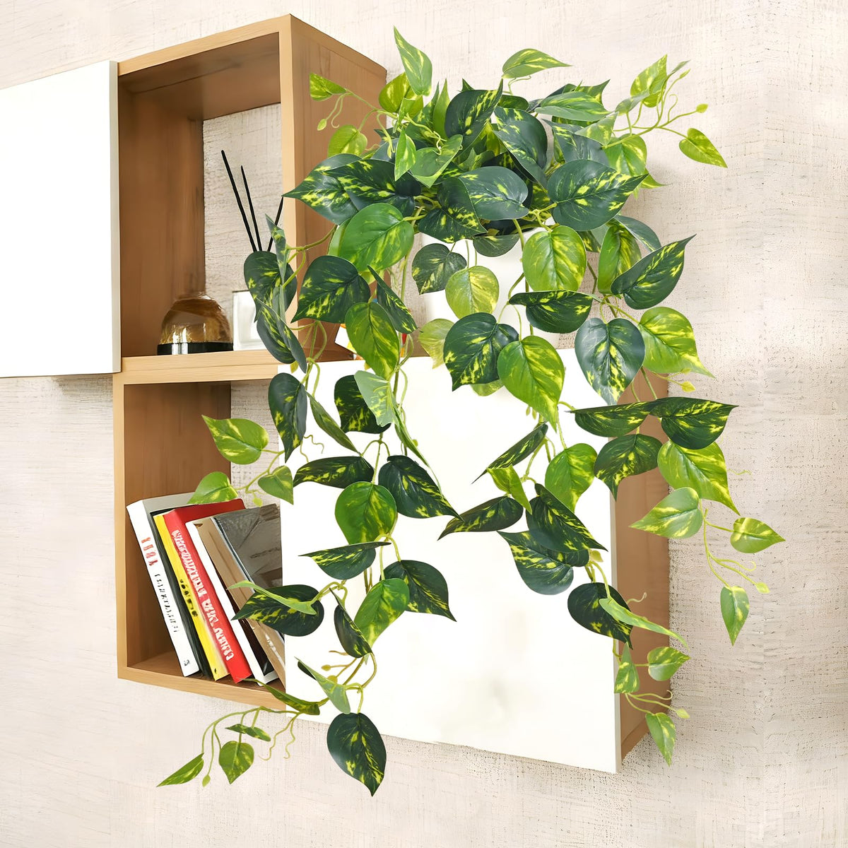Waipfaru pothos greenery for bathroom or kitchen spaces