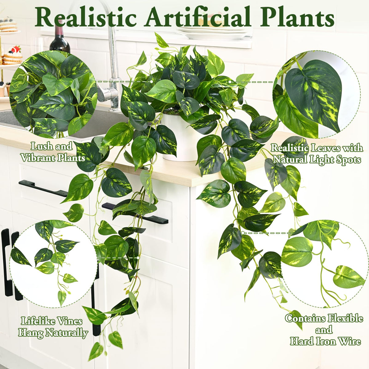 Waipfaru pothos draped on a shelf creating depth