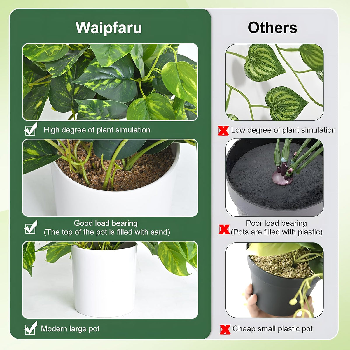 Waipfaru pothos ivy in living room decor for calm ambiance