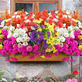 Waipfaru realistic-looking artificial flowers stay vibrant with no upkeep.