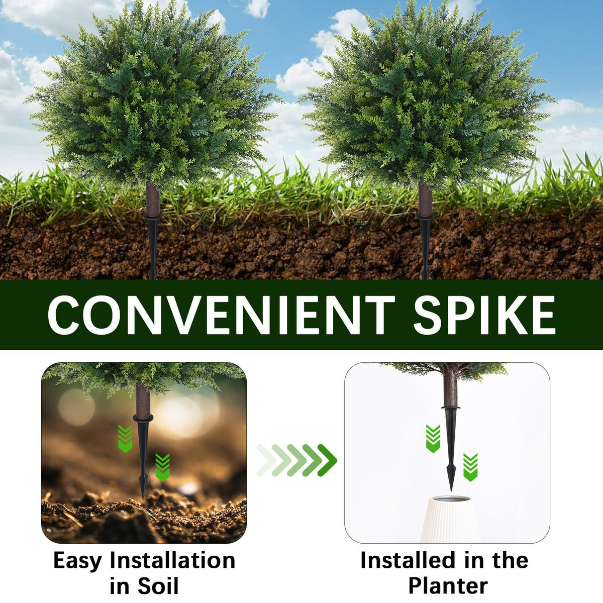 Waipfaru UV-resistant leaves maintain color in sunny spaces.