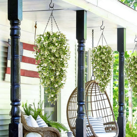 Waipfaru wall decor greenery to brighten living areas