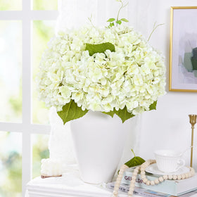 Waipfaru versatile hydrangeas suit weddings, events, and elegant home décor.