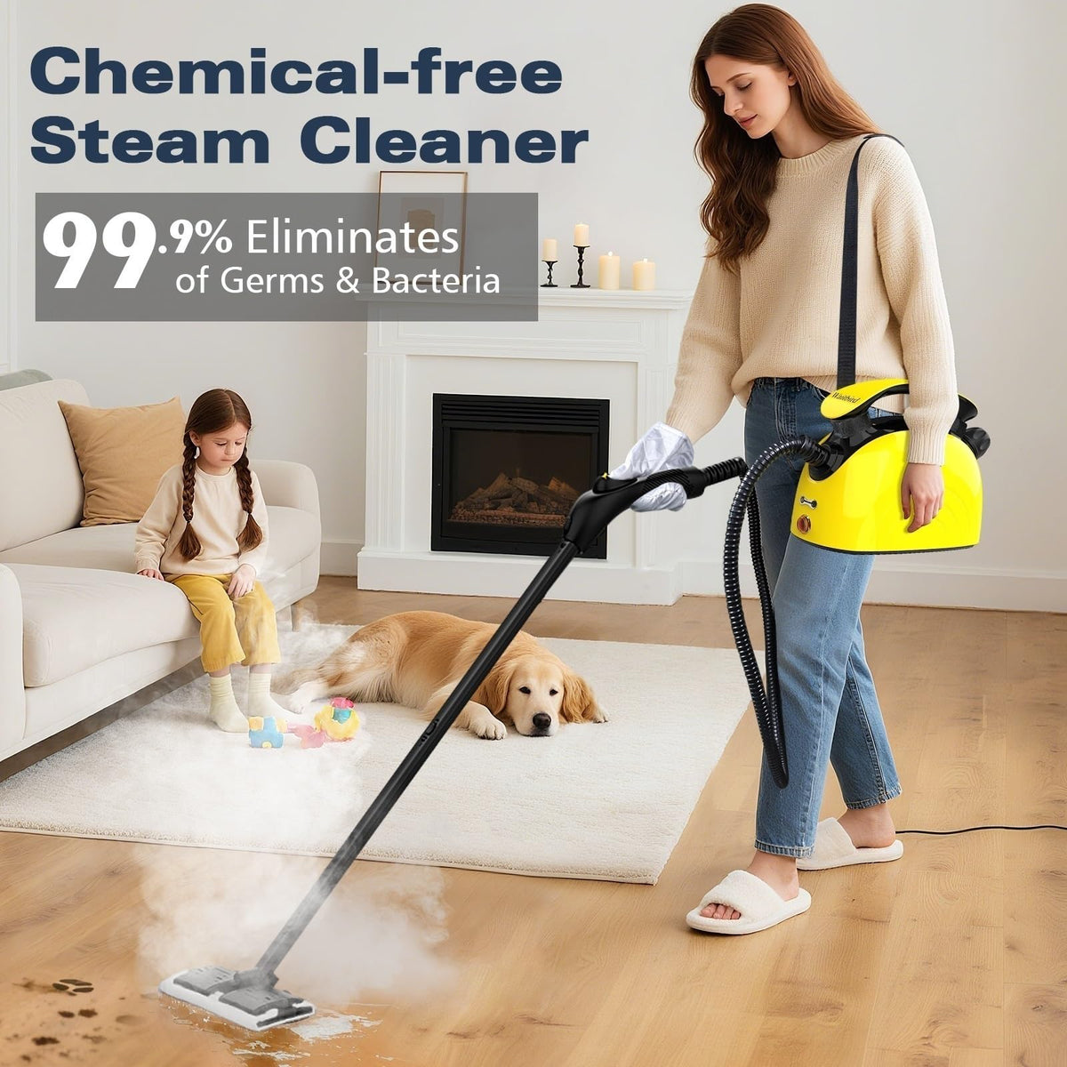 Waitbird steam cleaner 21 accessory kit for versatile home tasks