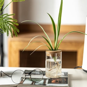 Wangsdjy desk-organizer setup using glass vases for greenery