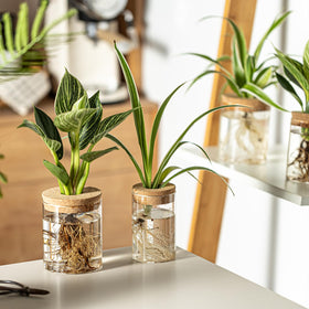 Wangsdjy Nordic design vases enhancing modern living room decor