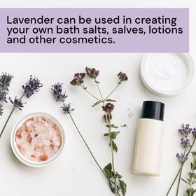 Waterglider International lavender flowers add fresh notes to baked goods.
