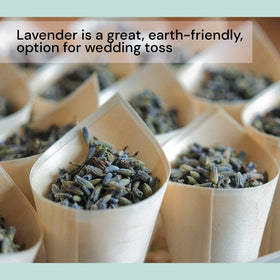 Waterglider International dried lavender buds in wedding toss displays.