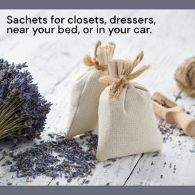 Waterglider International bulk lavender for potpourri and air freshening blends.