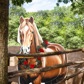 Watersay Derby day photo booth prop boosts event memories.