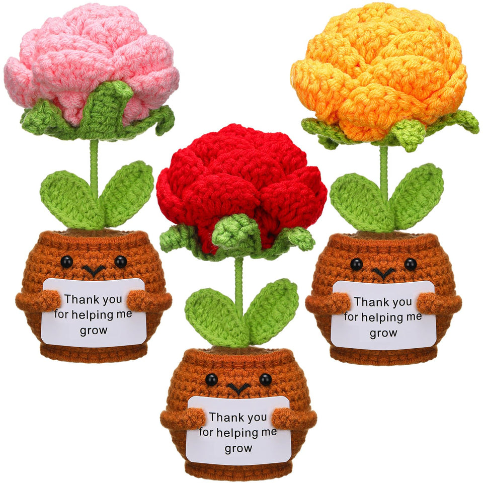 Wavwavw crochet rose plant gift for teachers brightens desks and classrooms.