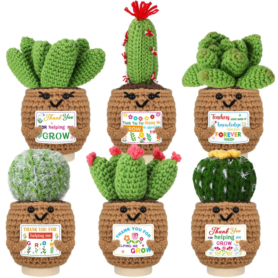 Wavwavw crochet succulent set on a desktop base, charming teacher appreciation decor.
