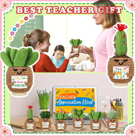 Wavwavw teacher gift crochet succulents arranged for a desk or shelf display.