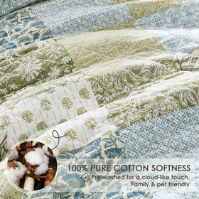 WDCOZY two pillow shams pair with the quilt set