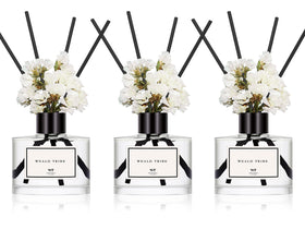 WEALD TRIBE cashmere-vanilla diffuser bottles create a warm, inviting living room scent.