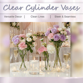 Wehomai minimalist clear glass fits modern, farmhouse, or classic decor.