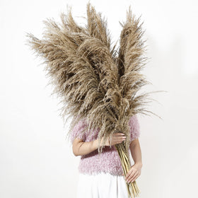 Wertuirk 9-stem pampas grass tall centerpiece for a modern living room