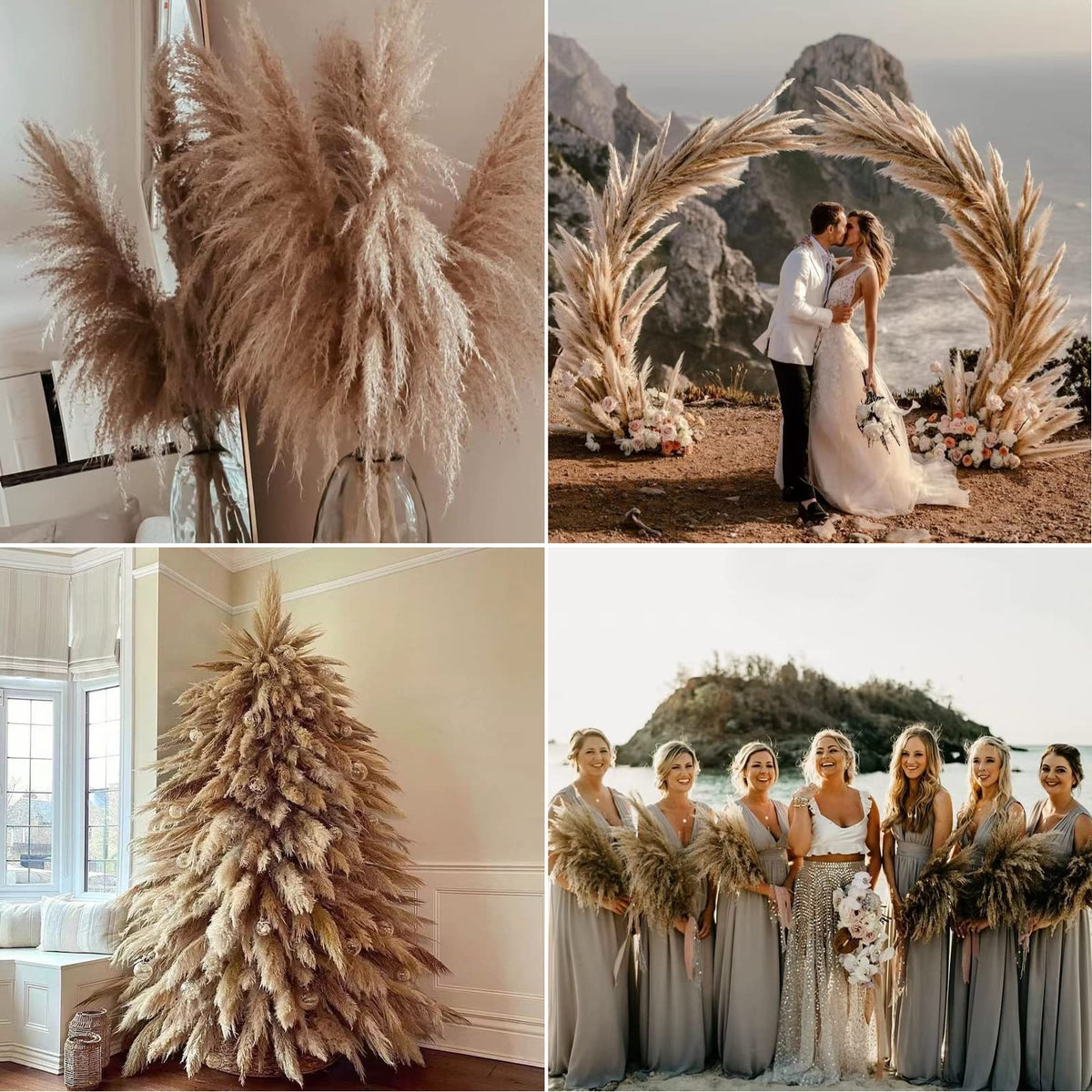 Wertuirk pampas grass maintenance-free accent lasts for years