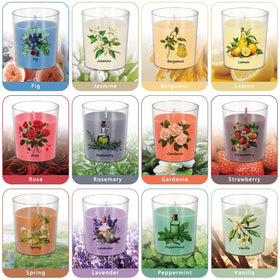 Wfmolcand jasmine jar candle creates soothing scents perfect for relaxing evenings.