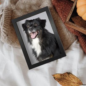 WHEATHUSK loading photos is a breeze with lightweight frames and opening tabs.