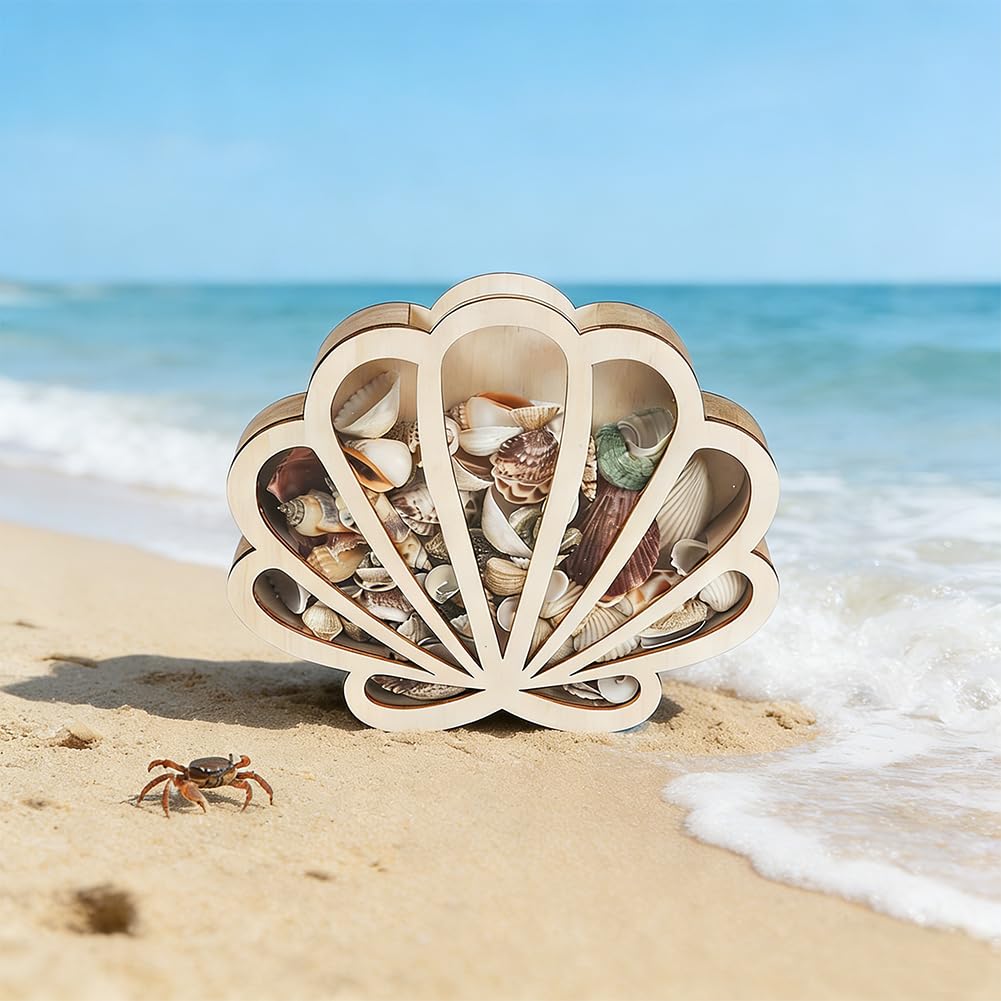 Whimsicorn seashell display case sturdy wood base protects delicate finds.