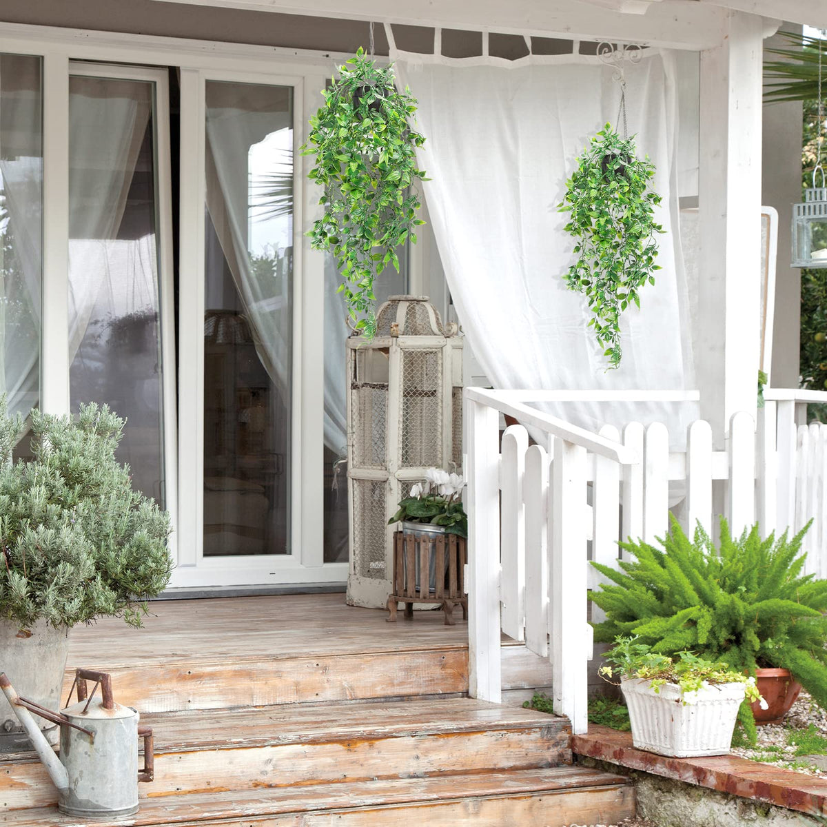 Whonline maintenance-free plants require no watering, ideal for quick decorating.