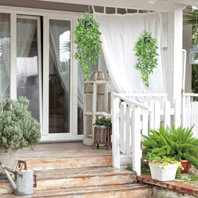 Whonline maintenance-free plants require no watering, ideal for quick decorating.